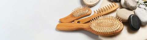 Brushes & Accessories