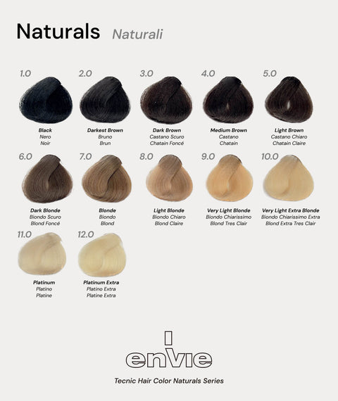 color palette